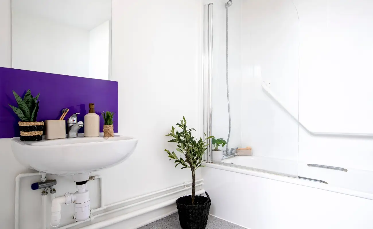 Accessible Studio bathroom