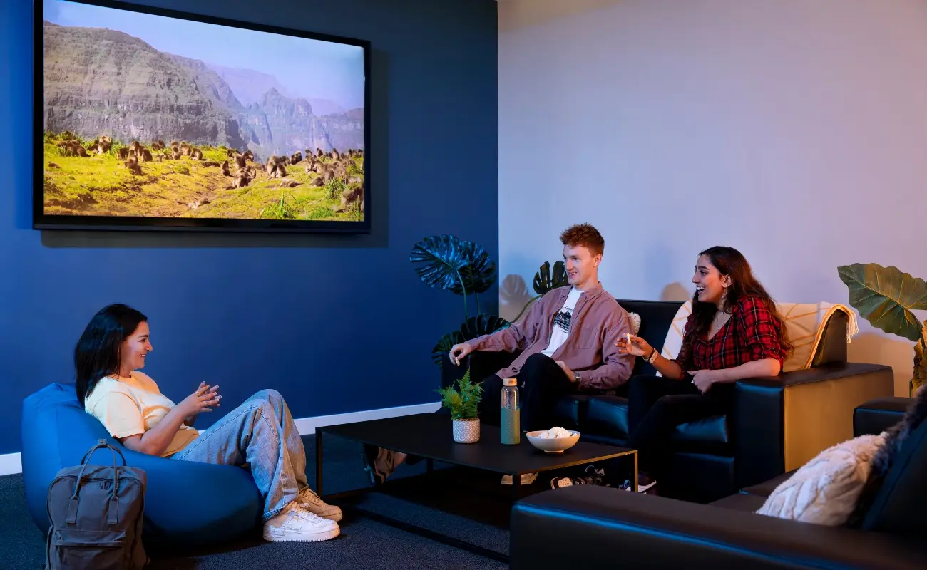 Students in the cinema room