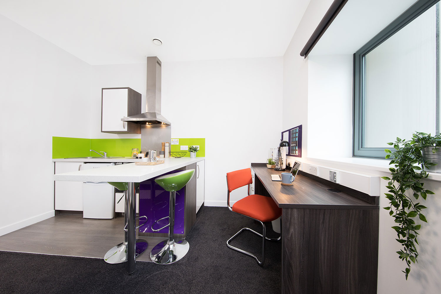 Premium Range 1 Studio at Orion Point